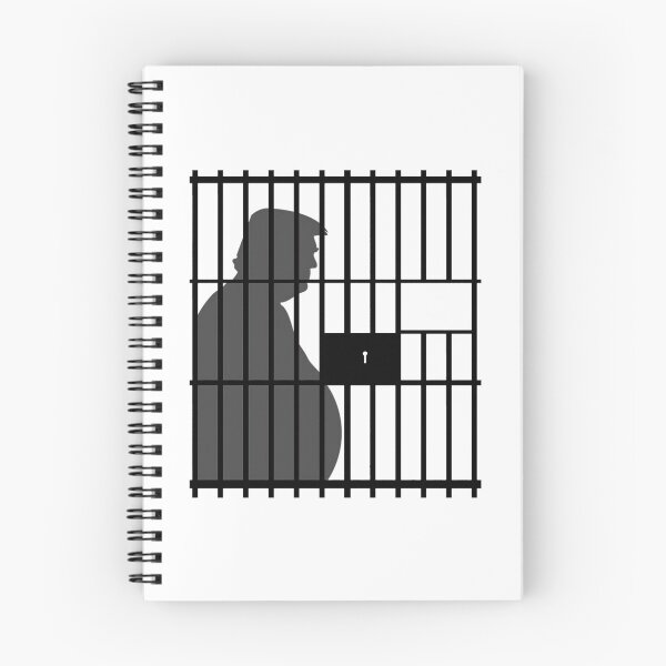 Item preview, Trump Lost Lock Him Up Traitor For Prison designed and sold by Anja Gillette.