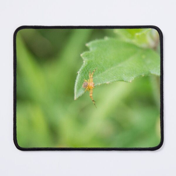 Item preview, Crab Spider_02 designed and sold by ROSE ANN BANILAR.