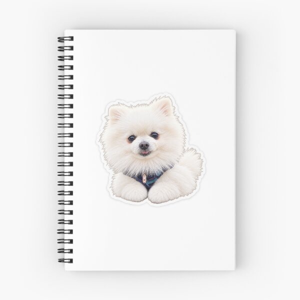 Item preview, Cute adult Pomeranian designed and sold by edisonnn.