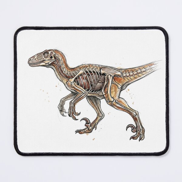 Item preview, Deinonychus Anatomy Skeletal Cutaway: Vintage Paleontology Art designed and sold by FreiherrPK.