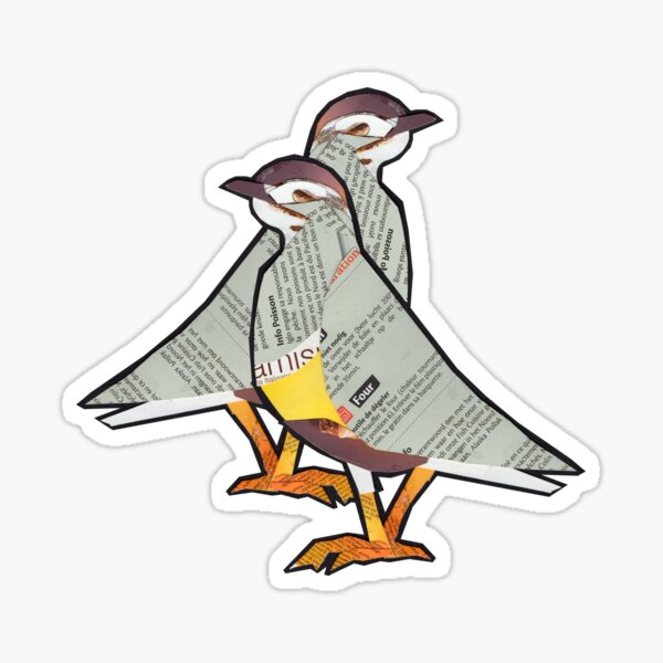 Little Tern Couple Sticker