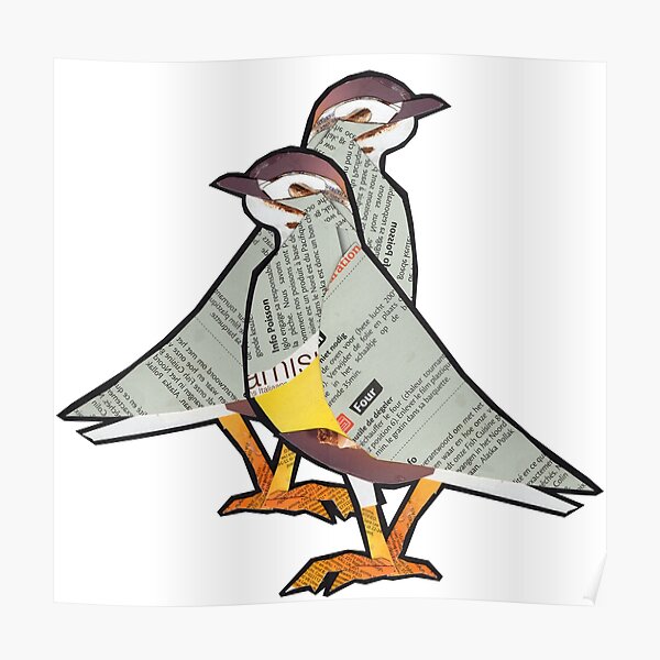 Little Tern Couple Poster