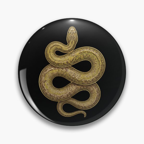Item preview, Inland Taipan Coiled Serpent: Australian Wildlife Illustration designed and sold by FreiherrPK.