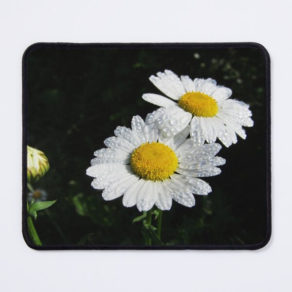Item preview, White Daisy Flower with Water Drops designed and sold by zedakxis.
