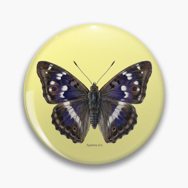 Item preview, Purple Emperor Butterfly Art: Apatura Iris Entomology Print designed and sold by FreiherrPK.