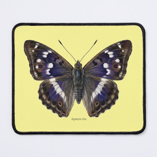 Item preview, Purple Emperor Butterfly Art: Apatura Iris Entomology Print designed and sold by FreiherrPK.