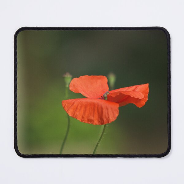 Item preview, Red Poppy Beauty designed and sold by zedakxis.