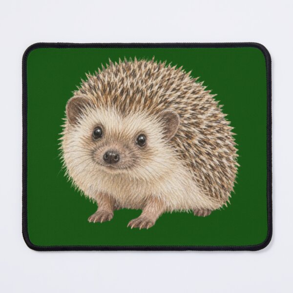 Item preview, Cute little hedgehog from the forest designed and sold by JOANNASKAH.