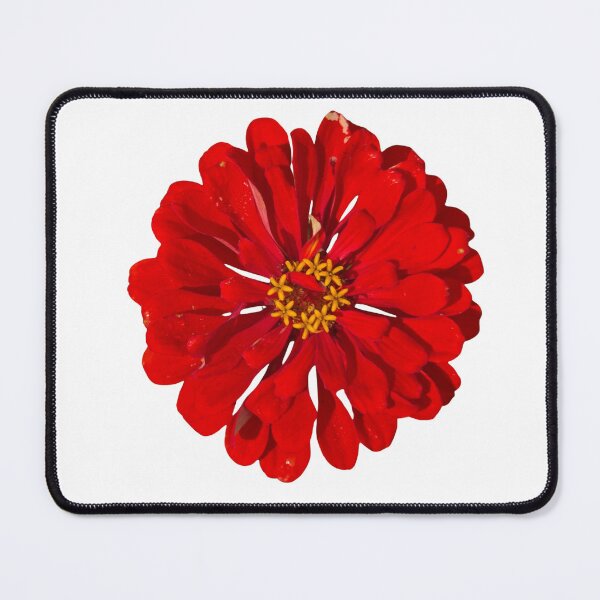 Item preview, Red Zinnia Flower Close-Up Photo designed and sold by Feral Vibes.