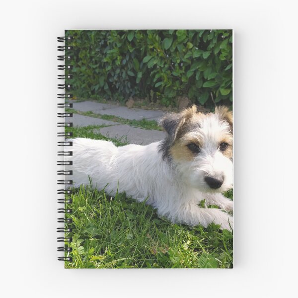 Item preview, Cute Jack Russell Terrier Puppy lying on green grass designed and sold by ollgast5.