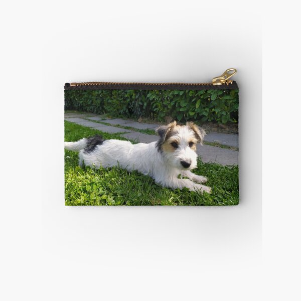 Item preview, Cute Jack Russell Terrier Puppy lying on green grass designed and sold by ollgast5.