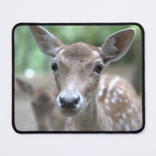 Item preview, Photograph of a Doe 06 designed and sold by YCBARTS.