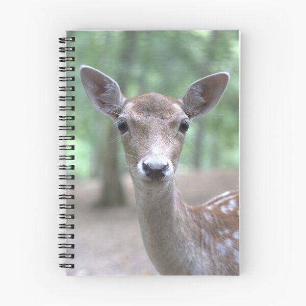 Item preview, Photograph of a Doe 07 designed and sold by YCBARTS.