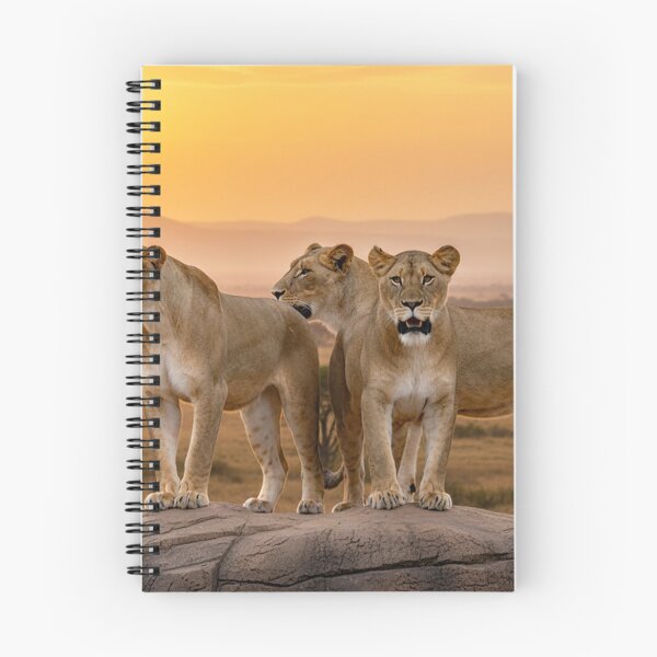 Item preview, LIONS - OUT OF AFRICA - African Lion Pride & Savanna Wildlife designed and sold by DBM Photo Gallery 1.