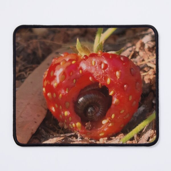Item preview, millipede in strawberry designed and sold by CJ Art & Photography .