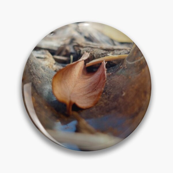 Item preview, leaf through broken bottle designed and sold by CJ Art & Photography .