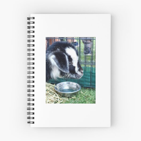 Item preview, lamb black and white designed and sold by CJ Art & Photography .