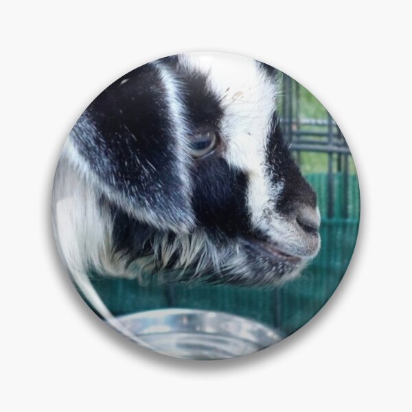 Item preview, lamb black and white designed and sold by CJ Art & Photography .