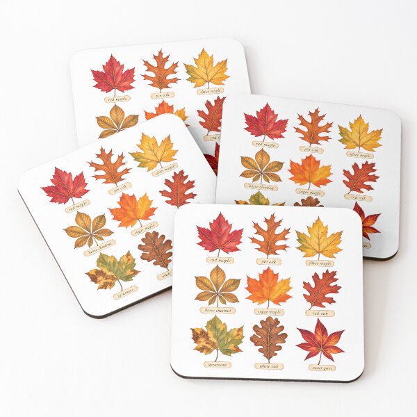 Item preview, Fall Leaf Identification Chart Botanical Nature Shirt designed and sold by Moss & Mellow.