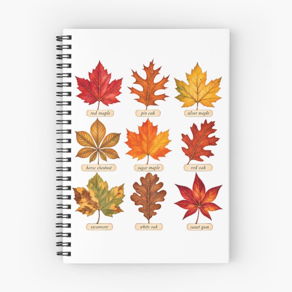 Item preview, Fall Leaf Identification Chart Botanical Nature Shirt designed and sold by Moss & Mellow.