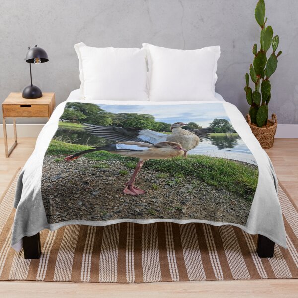 Item preview, Egyptian goose in a London park. designed and sold by Dinasshop.