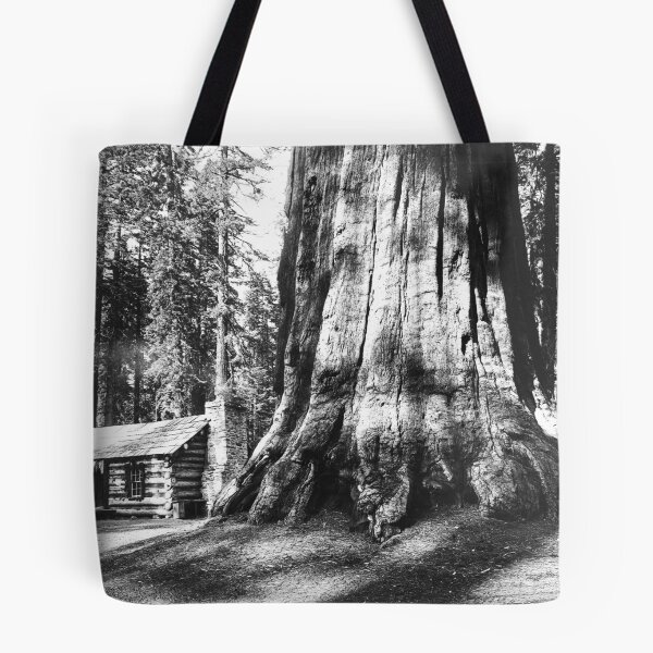 Item preview, A log cabin dwarfed by a big sequoia tree in Mariposa Grove in Yosemite National Park vintage black and white photograph designed and sold by Astrid Arkhangelsky.