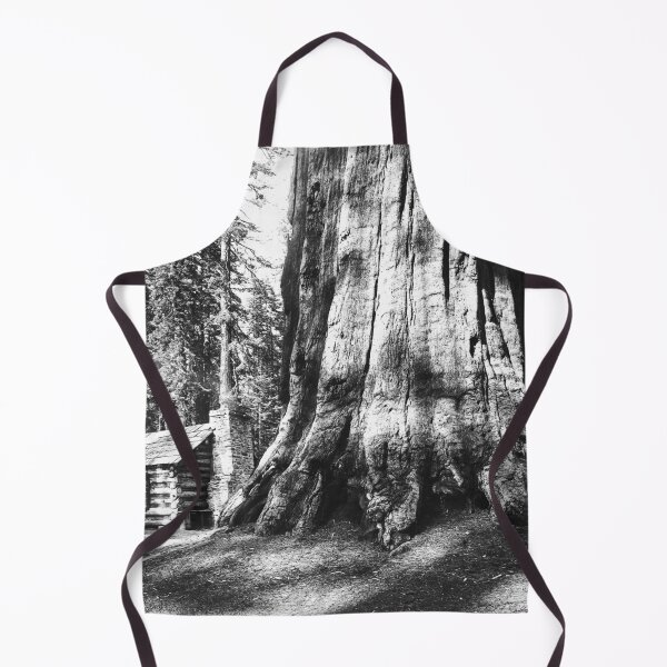 Item preview, A log cabin dwarfed by a big sequoia tree in Mariposa Grove in Yosemite National Park vintage black and white photograph designed and sold by Astrid Arkhangelsky.