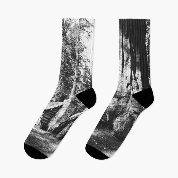 Item preview, A log cabin dwarfed by a big sequoia tree in Mariposa Grove in Yosemite National Park vintage black and white photograph designed and sold by Astrid Arkhangelsky.