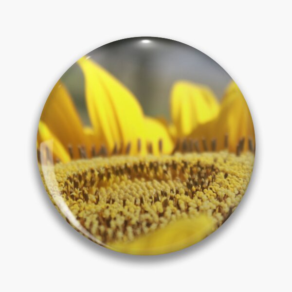Item preview, Sunflower 2 designed and sold by abbiet27.