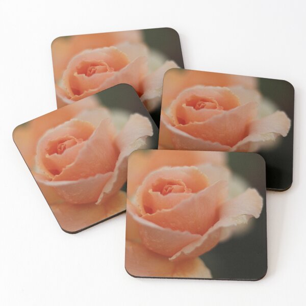 Item preview, Weathered Rose designed and sold by abbiet27.