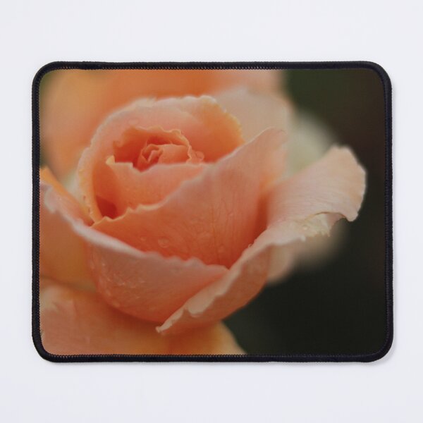 Item preview, Weathered Rose designed and sold by abbiet27.