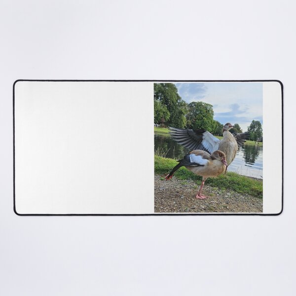 Item preview, Egyptian goose in a London park. designed and sold by Dinasshop.