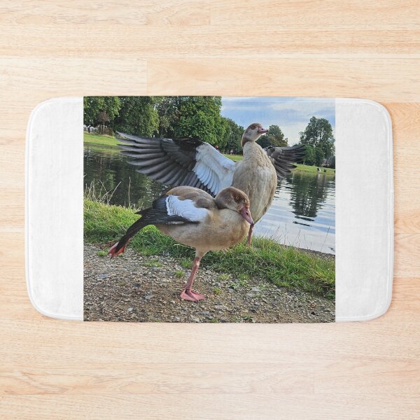 Artikelvorschau, Nilgans in einem Londoner Park. entworfen und verkauft von Dinasshop.