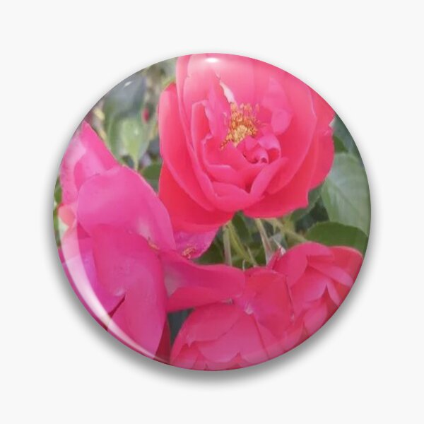 Item preview, The Roses of the Garden designed and sold by PIERRES&MAILLESDesign.
