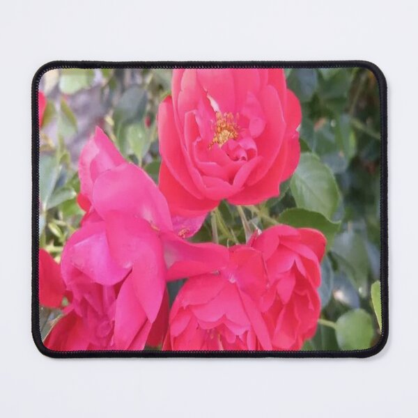Item preview, The Roses of the Garden designed and sold by PIERRES&MAILLESDesign.