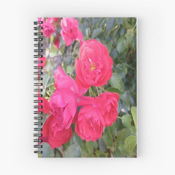 Item preview, The Roses of the Garden designed and sold by PIERREetMAILLES.