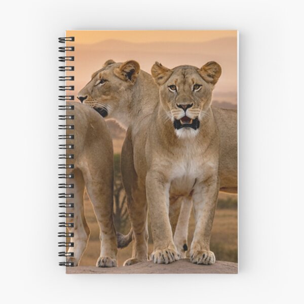 Item preview, Out of Africa - Fine Art Print - Daniel B McNeill designed and sold by DBM Photo Art 1.