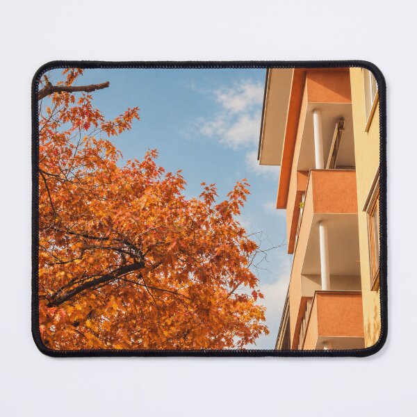 Item preview, Sofia Cityscape with Architectural Detail and Autumn Tree – Urban Fall Photography designed and sold by MetaModel Editions.