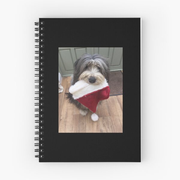 Item preview, Bearded Collie - Christmas is Coming! Sticker designed and sold by quyenphoshop.
