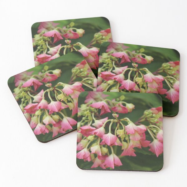 Item preview, Delicate pink begonia flowers - Soft botanical garden photography designed and sold by Cha-s-lens.
