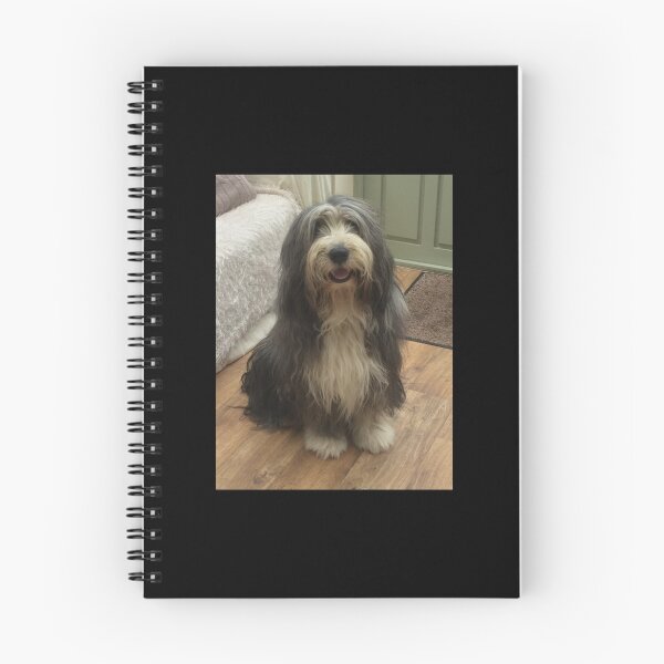Item preview, Bearded Collie - Good Boy Beardie Sticker designed and sold by quyenphoshop.