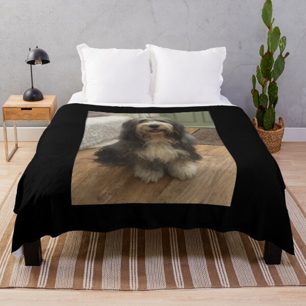Item preview, Bearded Collie - Good Boy Beardie Sticker designed and sold by quyenphoshop.
