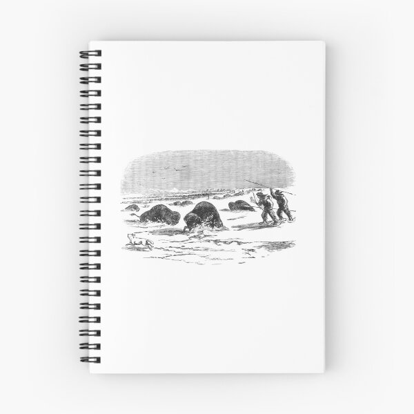 Item preview, Vintage Arctic Walrus Hunting Engraving designed and sold by Antique Science Press.