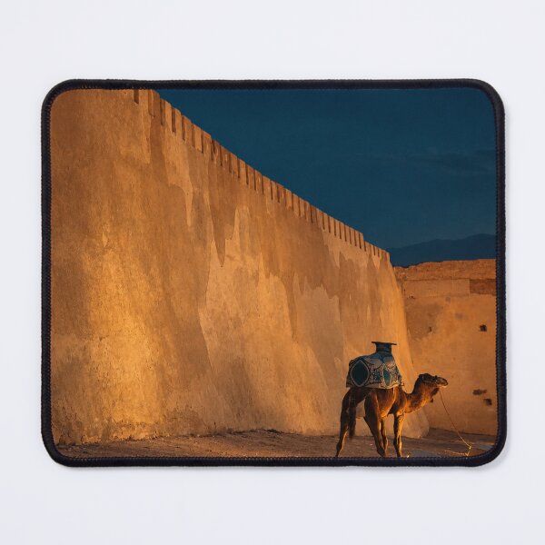 Item preview, Camel Next to Kasbah Wall in Agadir – Moroccan Desert Scene designed and sold by MetaModel Editions.
