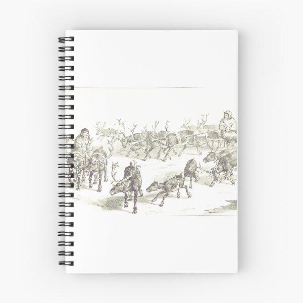 Item preview, Vintage Sami Reindeer Sledge Drawing Illustration designed and sold by Antique Science Press.
