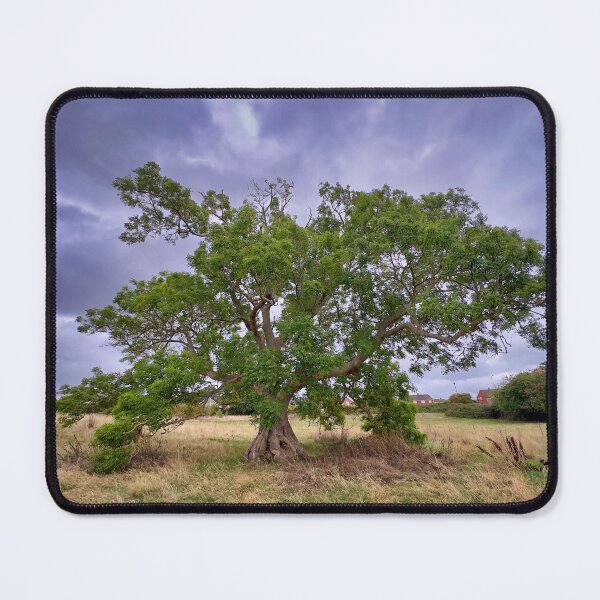 Item preview, Mature Green Ash Tree Standing in a Field Under a Dramatic Stormy Sky designed and sold by leonwoods.
