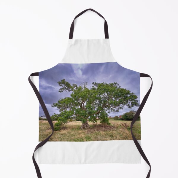 Item preview, Mature Green Ash Tree Standing in a Field Under a Dramatic Stormy Sky designed and sold by leonwoods.