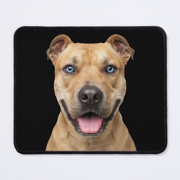 Item preview, Pitbull Dog Face Blue Eyes Smiling Portrait Art designed and sold by cabana.space.