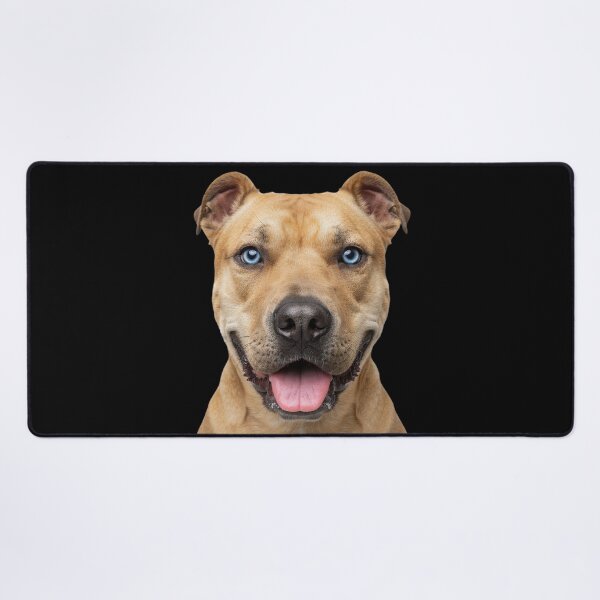 Item preview, Pitbull Dog Face Blue Eyes Smiling Portrait Art designed and sold by cabana.space.