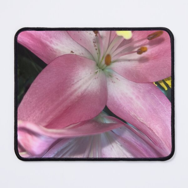 Item preview, Velvet pink Lilly micro shot designed and sold by TaisiasCaptures.